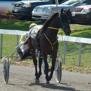 Meet your Posher, Cheryl